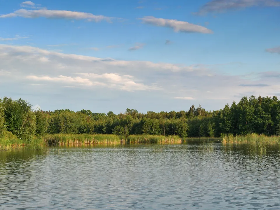 Jones Lake Management Acquires Ponds Rx