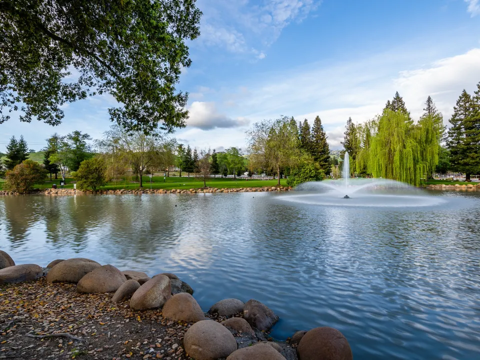 Jones Lake Management Expands Texas Presence Through Partnerships with Aquatic Features and Johnson Lake Management