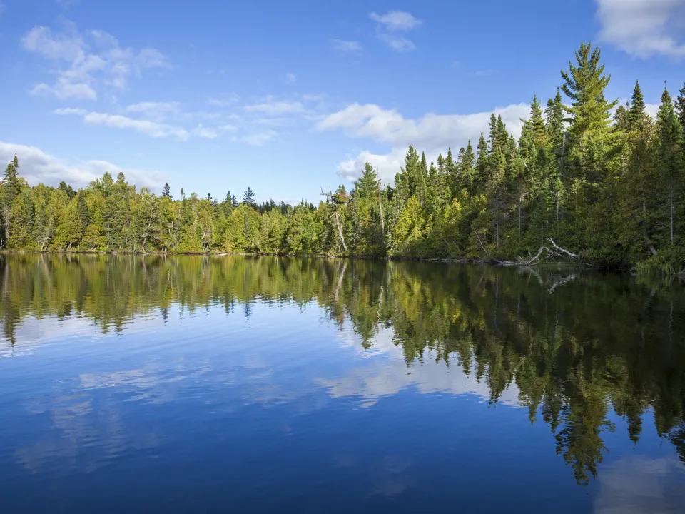 Jones Lake Management Partners with Environmental Technology