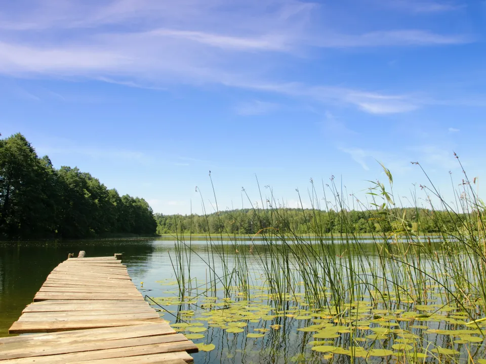 Fort Point Capital Exits Investment in Portfolio Company, Jones Lake Management