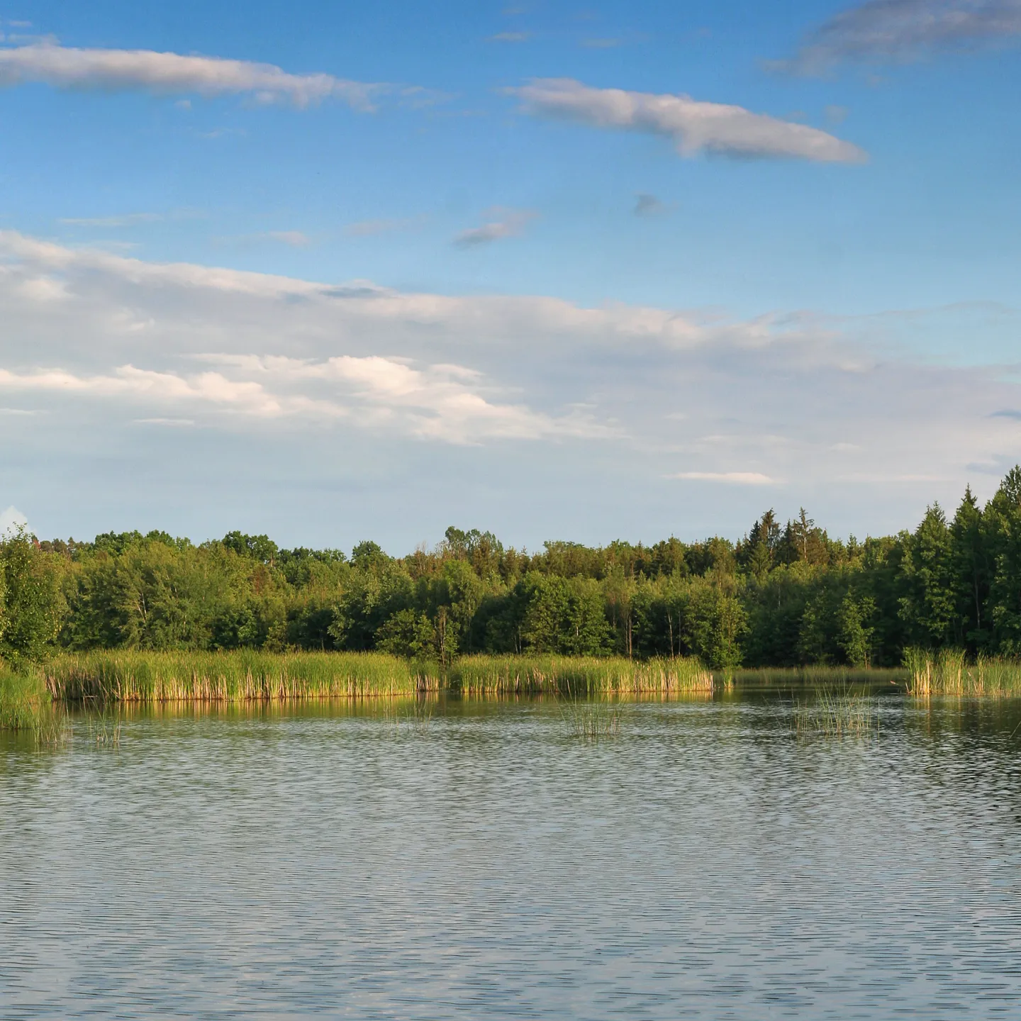 Pond Management: Stocking Fish in Indiana Ponds