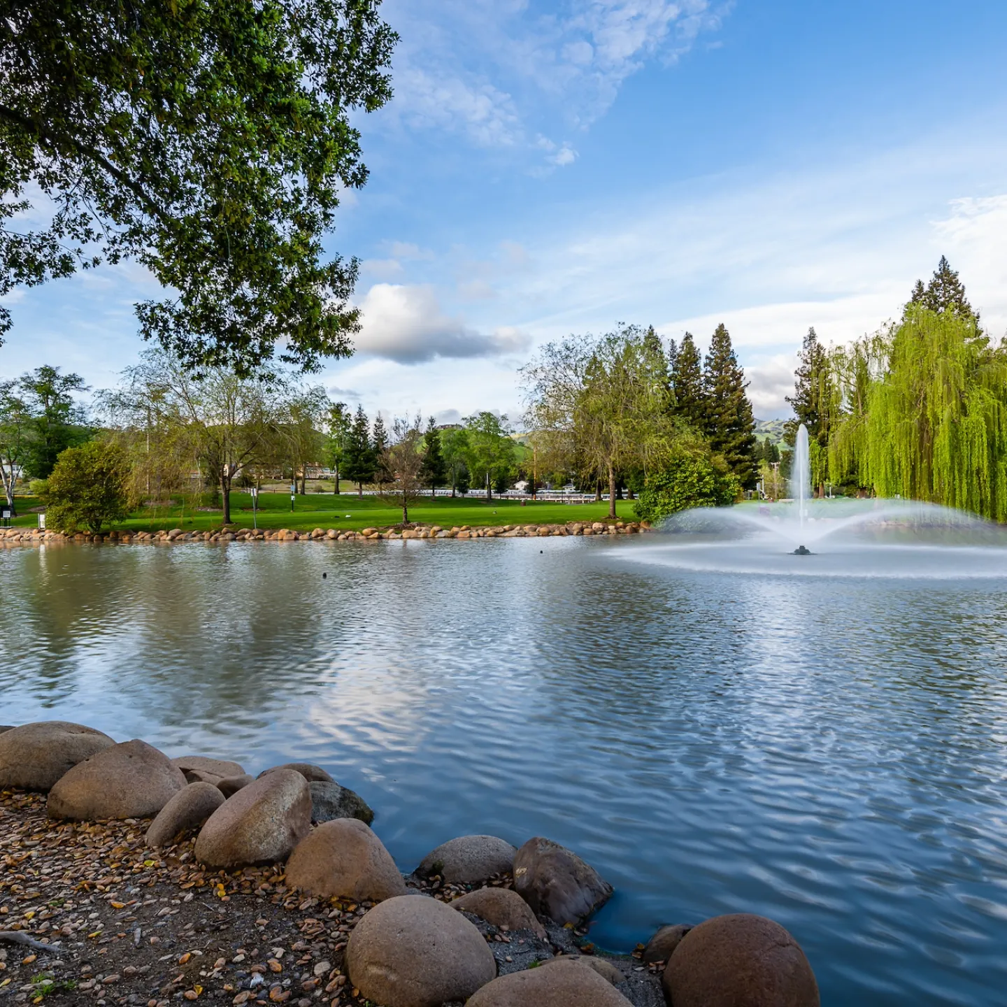 Jones Lake Management Expands Texas Presence Through Partnerships with Aquatic Features and Johnson Lake Management