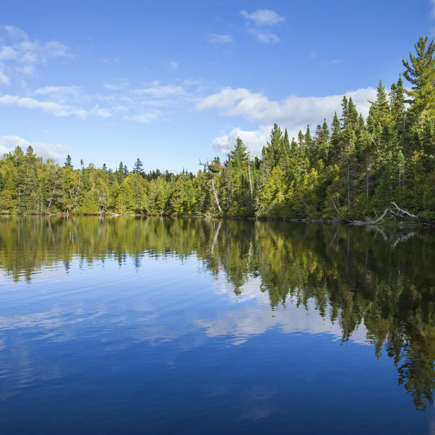 Jones Lake Management Partners with Environmental Technology