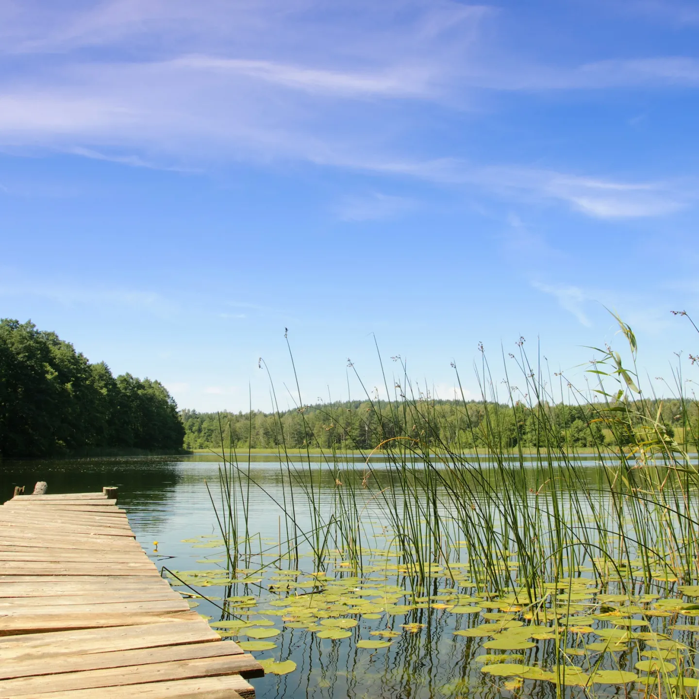 Fort Point Capital Exits Investment in Portfolio Company, Jones Lake Management